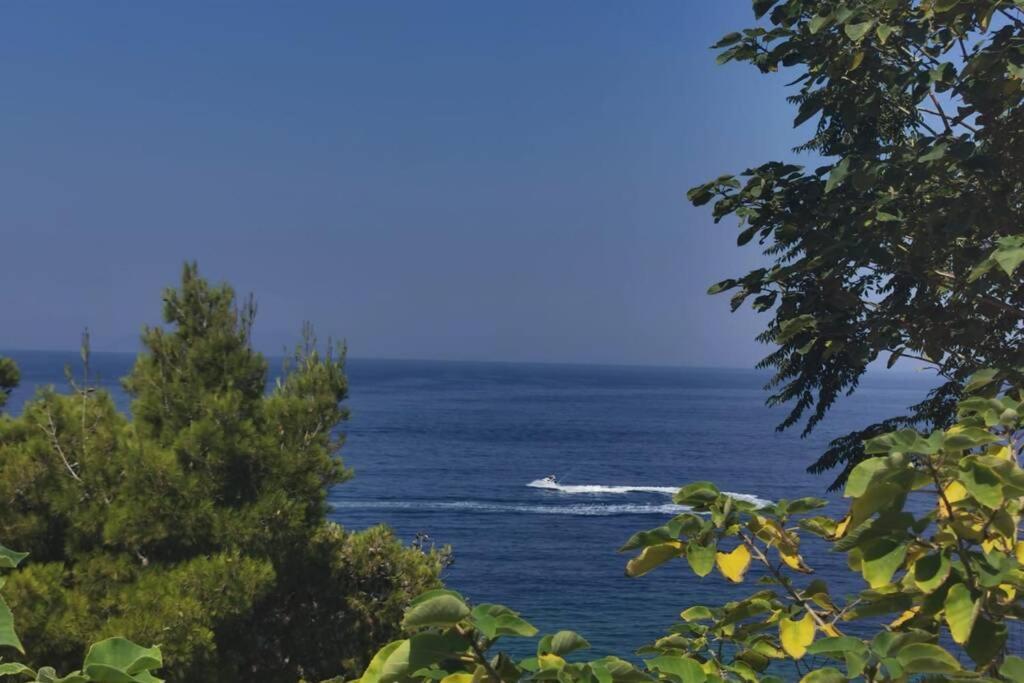 Spectacular Seaview Apartment Vlore Ngoại thất bức ảnh